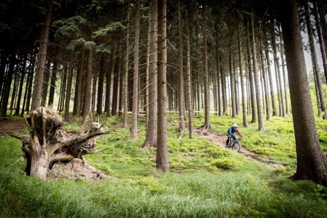 Enduro Jetd